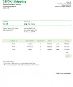 USA MSNG Shipping invoice template in Word and PDF format, fully editable
