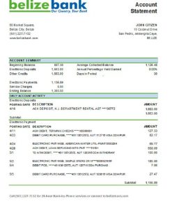 Belize Belizebank bank statement easy to fill template in .xls and .pdf file format