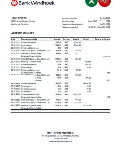 Namibia Bank Windhoek bank statement Excel and PDF template