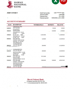 Hawaii National Bank statement Excel and PDF template