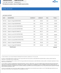 PayPal Account Statement Template in Word & PDF formats