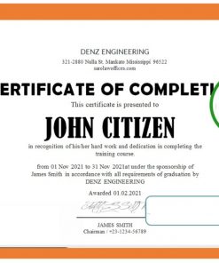 USA Denz Engineering Internship Certificate template in Word and PDF format