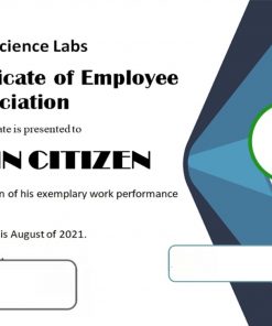 USA Employee Appreciation certificate template in Word and PDF format, version 2