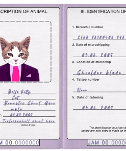 Jamaica cat (animal, pet) passport PSD template, completely editable