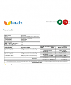 Haiti BUH bank statement Excel and PDF template