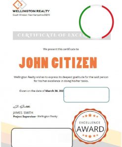 USA Excellence certificate template in Word and PDF format, version 2