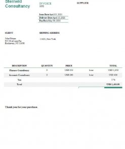 USA Sterneld Consultancy invoice template in Word and PDF format, fully editable