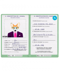 Mali dog (animal, pet) passport PSD template, completely editable