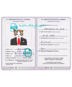 Senegal cat (animal, pet) passport PSD template, fully editable