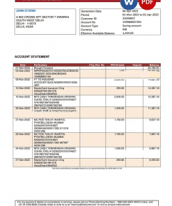 India IndusInd bank statement, Word and PDF template