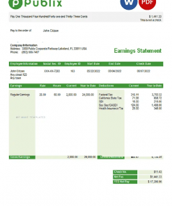 USA Publix Super Markets Inc. supermarket company pay stub Word and PDF template