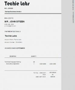 USA Techie Labs invoice template in Word and PDF format, fully editable