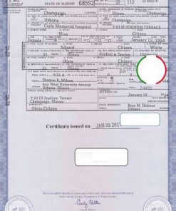 USA Illinois state birth certificate template in PSD format, fully editable