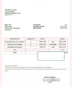 USA Through Harry’s Lens invoice template in Word and PDF format, fully editable