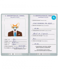Seychellas dog (animal, pet) passport PSD template, fully editable