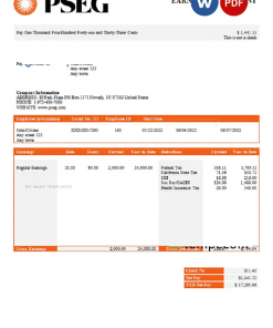 USA PSEG utilities company pay stub Word and PDF template