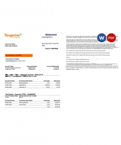 Canada Tangerine bank statement Word and PDF template, 2 pages