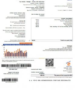 Israel Electric Corporation electricity utility bill template in Word and PDF format (.doc and .pdf)
