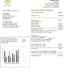 Israel Green Energy Association of Israel utility bill template in Word and PDF format (doc)