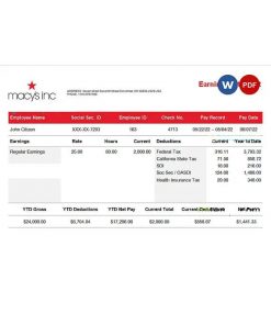 USA retail company earning statement template in Word and PDF format, version 3