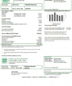 Japan S-Energy Japan Co. Ltd. Tokyo Branch utility bill template in Word and PDF format