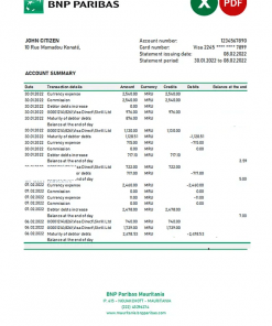 Mauritania BNP Paribas bank statement Excel and PDF template