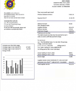 Laos Electricite du Laos electricity utility bill template in Word and PDF format