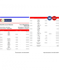 India RBB Smart bank statement, Word and PDF template, 2 pages