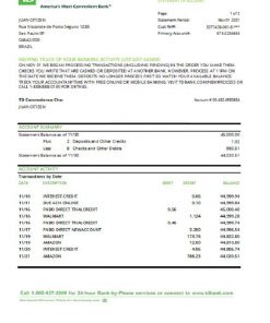 Brazil TD bank statement easy to fill template in Excel and PDF format