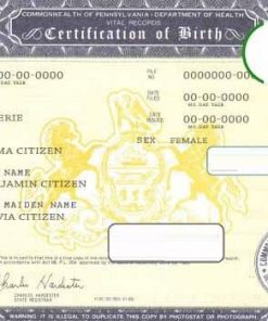 USA Pennsylvania state birth certificate template in PSD format, fully editable