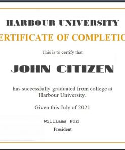 USA Recognition Certificate template in Word and PDF format