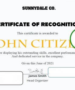USA Recognition in Performance certificate template in Word and PDF format