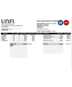 USA retail company earning statement template in Word and PDF format