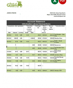 Marshall Islands Bank of Guam bank statement Excel and PDF template
