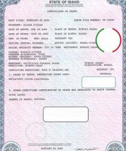 USA state Idaho death certificate template in PSD format, fully editable