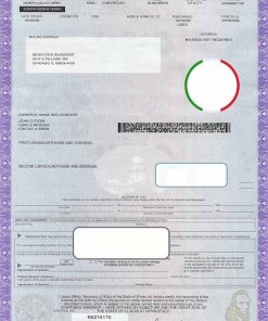 USA state Illinois certificate of title of a vehicle template in PSD format, fully editable