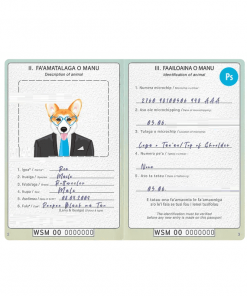 Samoa dog (animal, pet) passport PSD template, completely editable