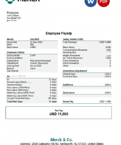 USA Merck & Co. pharmaceutical company pay stub Word and PDF template