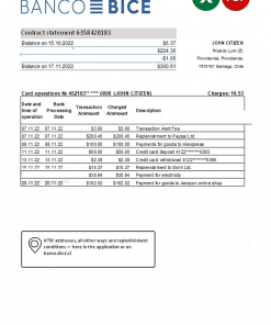 Chile Banco Bice bank statement Excel and PDF template (AutoSum)