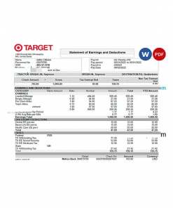 USA Target retail company pay stub Word and PDF template