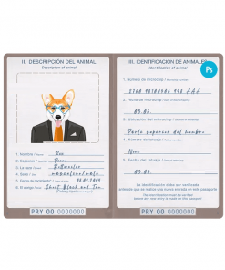 Paraguay dog (animal, pet) passport PSD template, fully editable