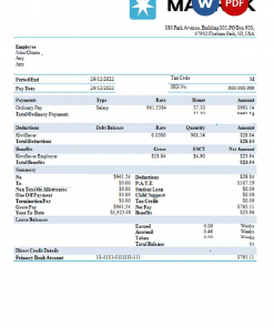 USA Maesk shipping company pay stub Word and PDF template