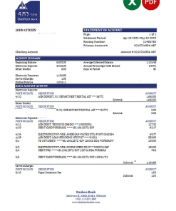 Ethiopia Dashen Bank statement Excel and PDF template