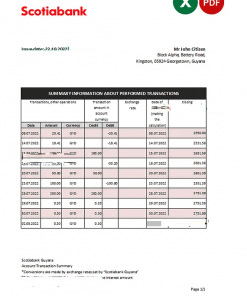 Guyana Bank of Nova Scotia statement Excel and PDF template