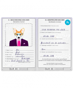 Suriname dog (animal, pet) passport PSD template, fully editable