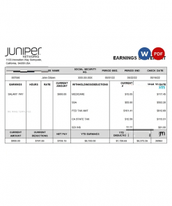 USA Juniper networking company pay stub Word and PDF template