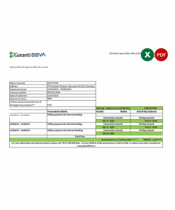 Romania Garanti BBVA bank statement, Excel and PDF template