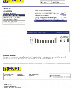 Nicaragua Nicaraguan Electricity Company ENEL electricity utility bill template in Word and PDF format