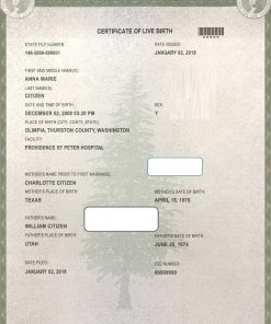 USA Washington state birth certificate template in PSD format, fully editable