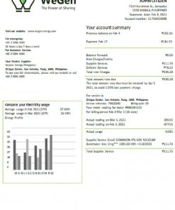 Philippines WeGen Energy Philippines utility bill template in Word and PDF format